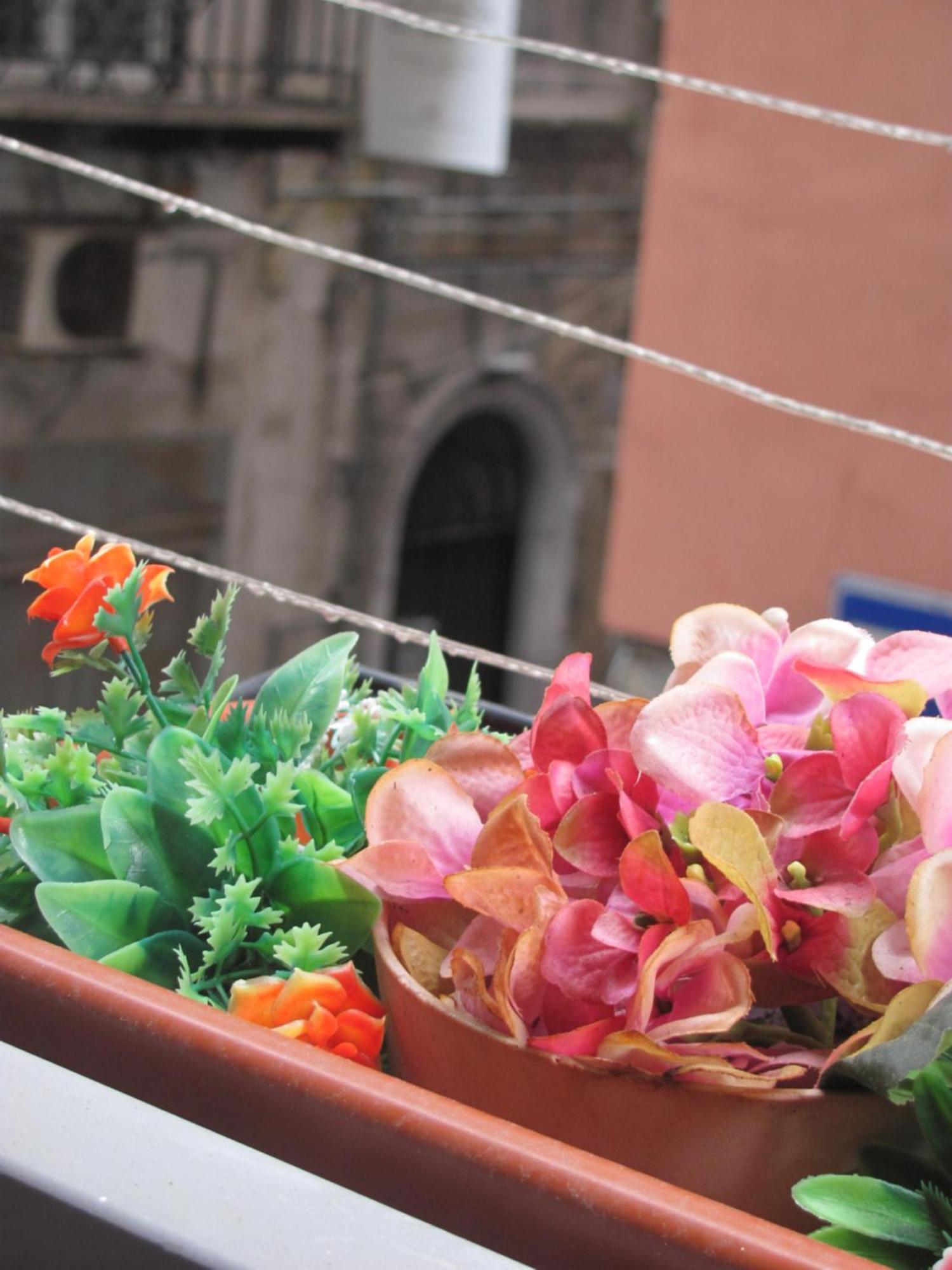La Conchiglia Apartment Naples